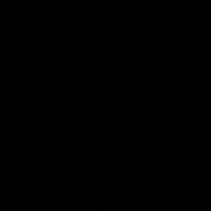 Meet your Posher, Cesar